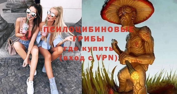 прущие грибы Алексеевка