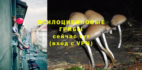 ALPHA-PVP Алзамай