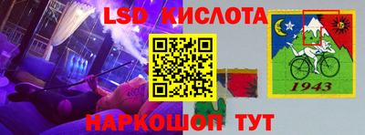 шишки Братск