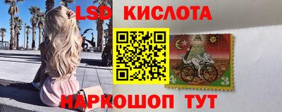PSILOCYBIN Брянск