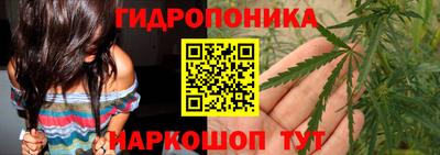 соль ск Боровичи