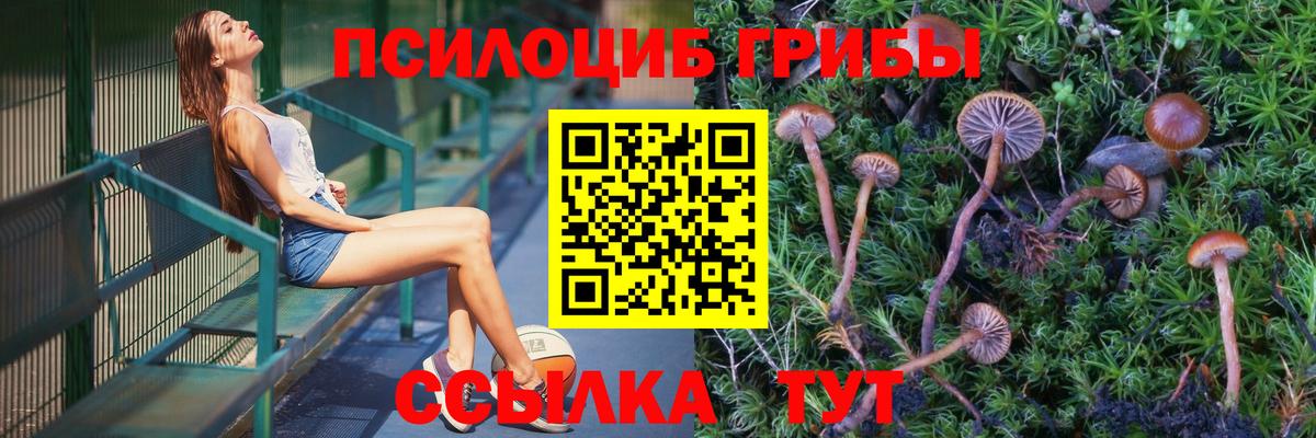 Галлюциногенные грибы прущие грибы Архангельск